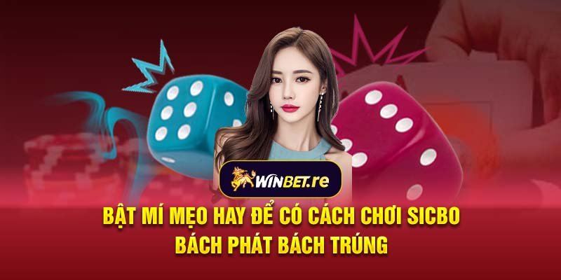 Bật mí mẹo hay để có cách chơi Sicbo bách phát bách trúng