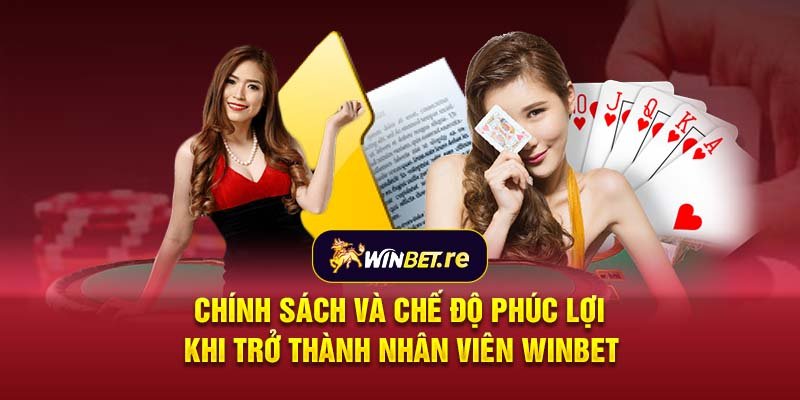 Chính sách và chế độ phúc lợi khi trở thành nhân viên Winbet