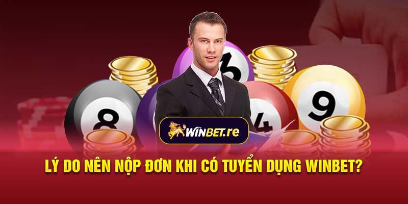 Lý do nên nộp đơn khi có tuyển dụng Winbet?