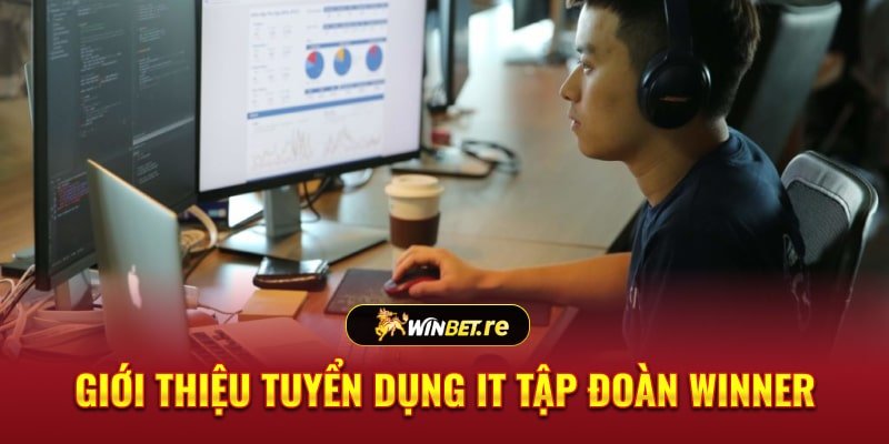 Giới thiệu tuyển dụng IT tập đoàn Winner