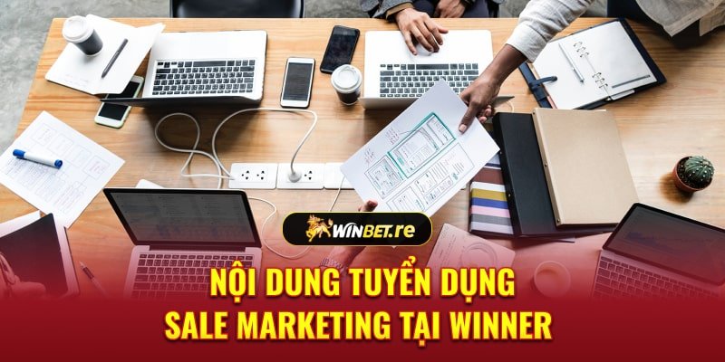 Nội dung tuyển dụng SALE MARKETING tại Winner