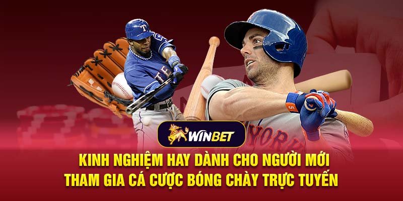 Kinh nghiệm hay dành cho người mới tham gia cá cược bóng chày trực tuyến